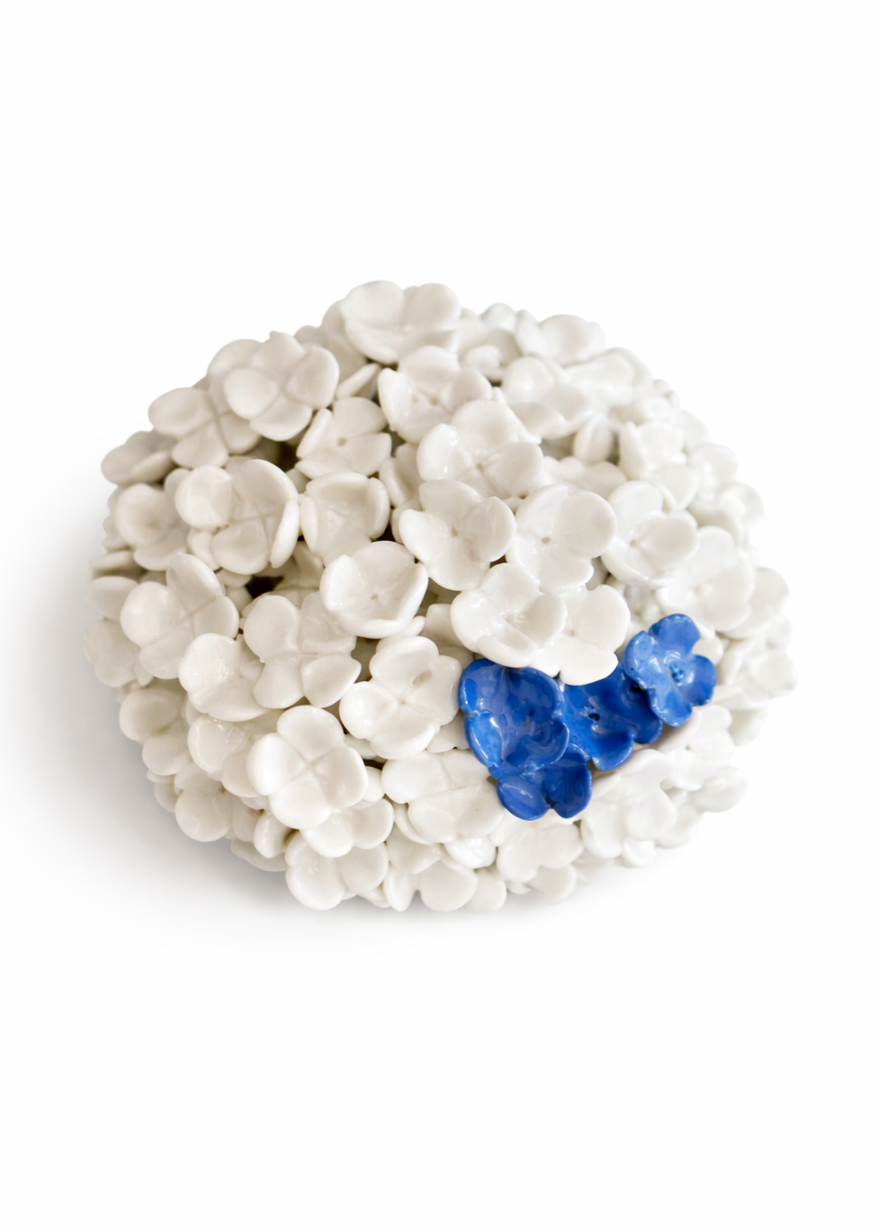 Bloom in Stillness I