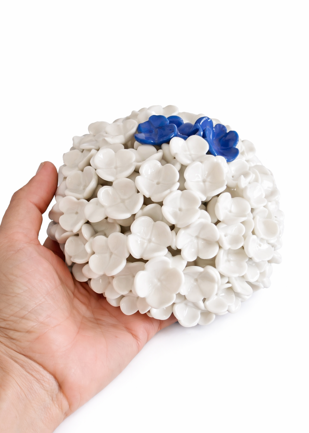 Bloom in Stillness I