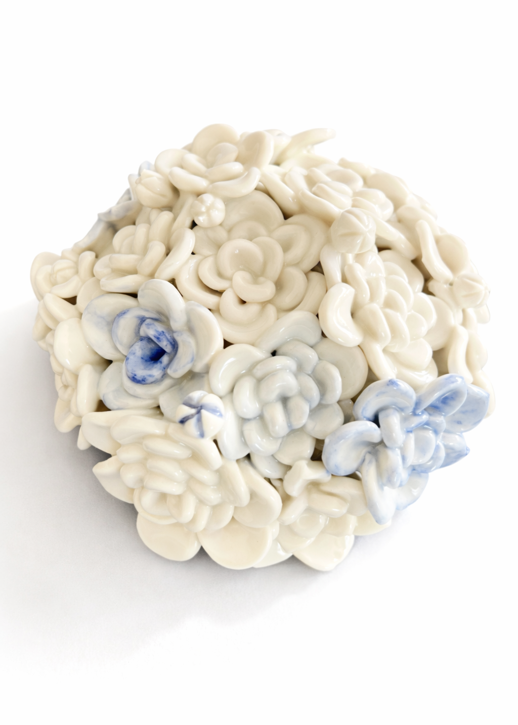 Bloom in Stillness III