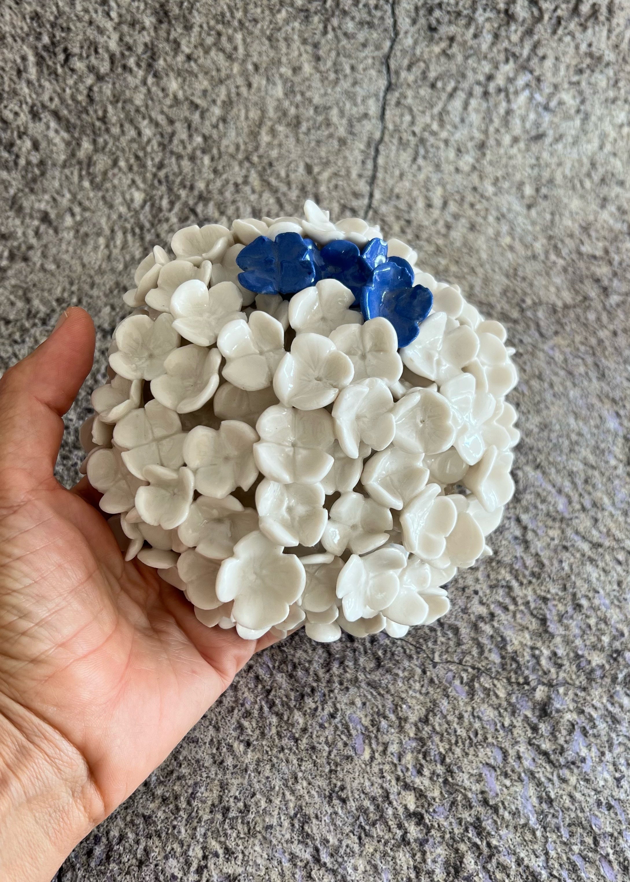 Bloom in Stillness I