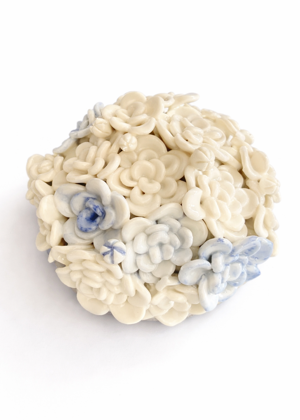 Bloom in Stillness III