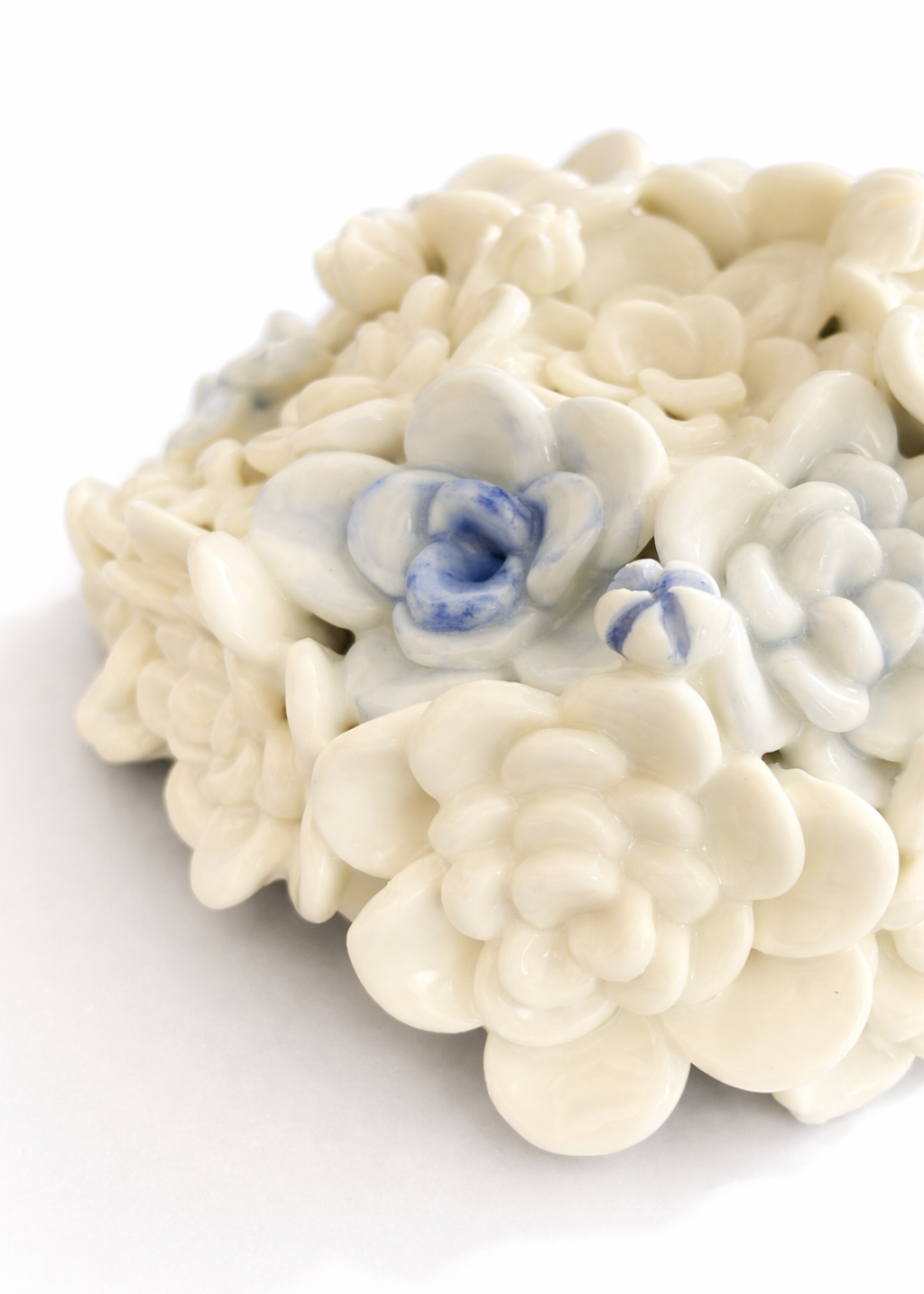 Bloom in Stillness III