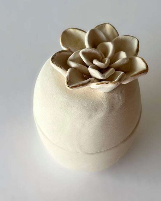 Serenity Succulent Canister