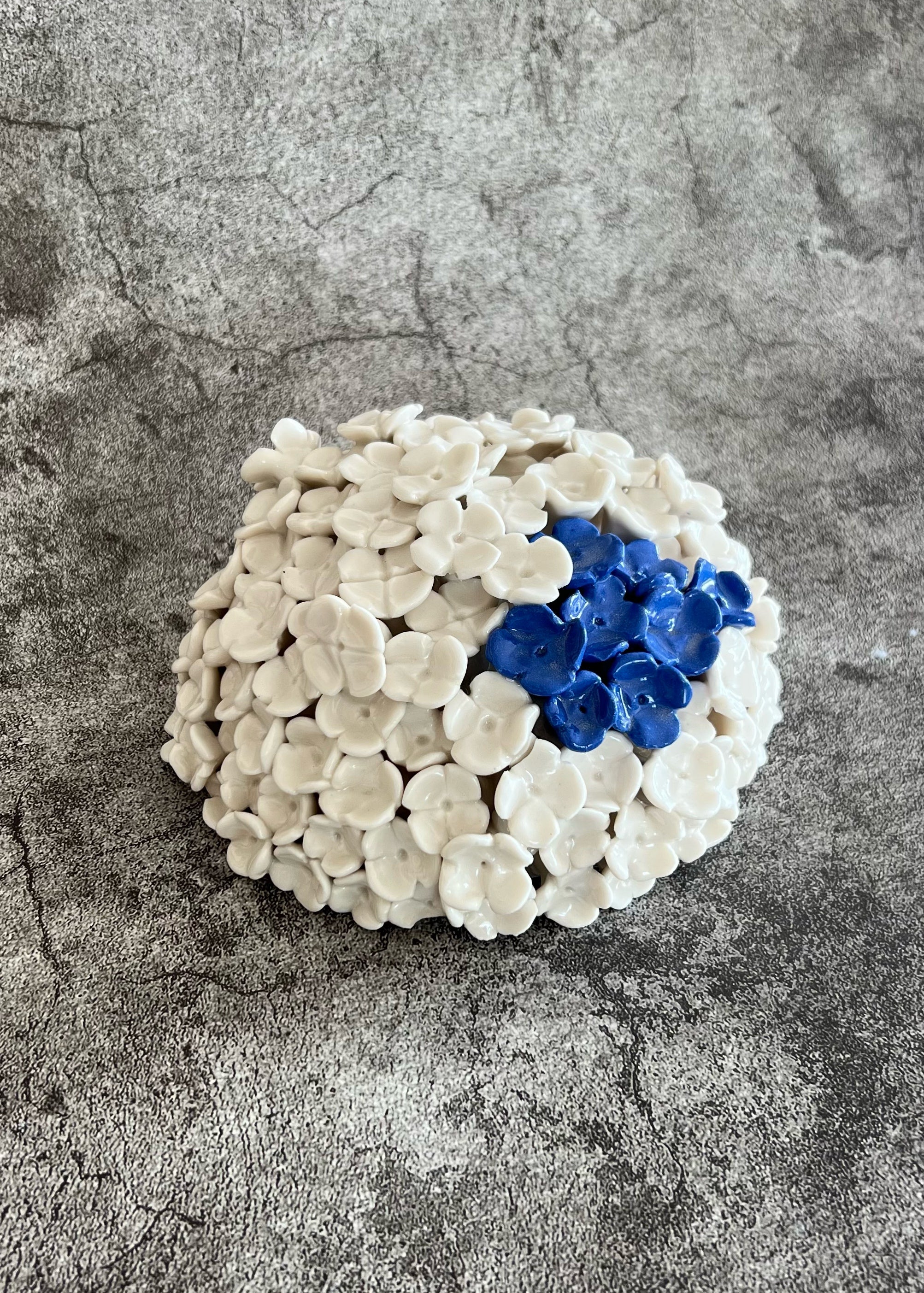 Bloom in Stillness II