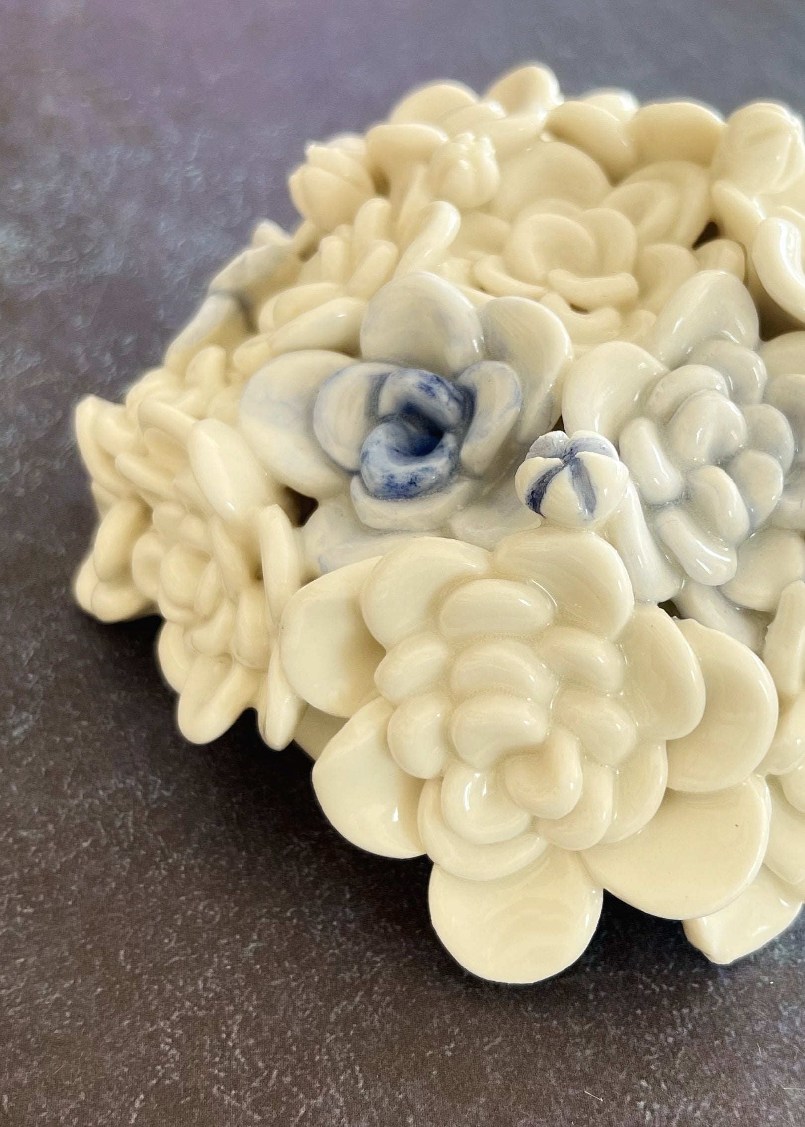 Bloom in Stillness III